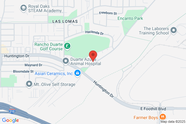 Avila Residence For Seniors