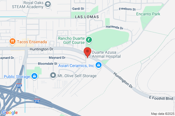 Duarte Azusa Animal Hospital