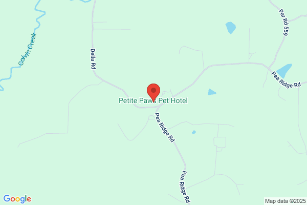 Petite Paws Pet Hotel