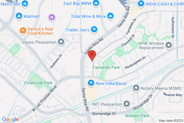 Evergreen Tree Trimming and Removal Service