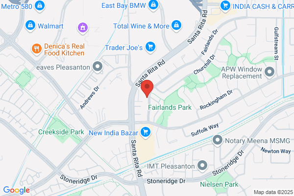 Evergreen Tree Trimming and Removal Service