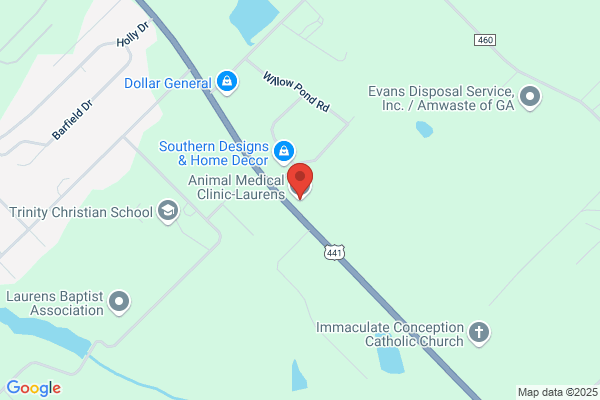 Animal Medical Clinic Of Laurens County