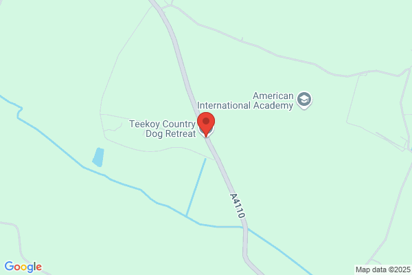 Terri's Kennels
