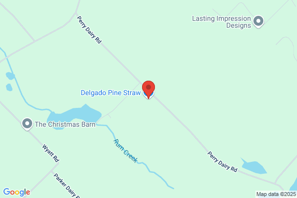 Delgado Pine Straw