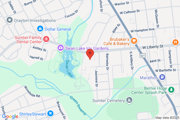 Palmetto Security Systems
