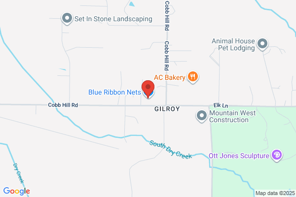 Blue Ribbon Internet