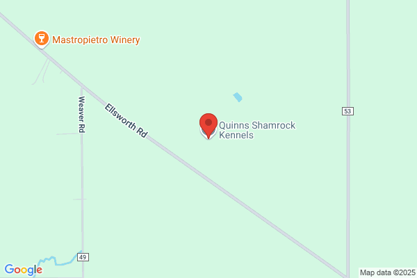 Shamrock Kennels of Dublin