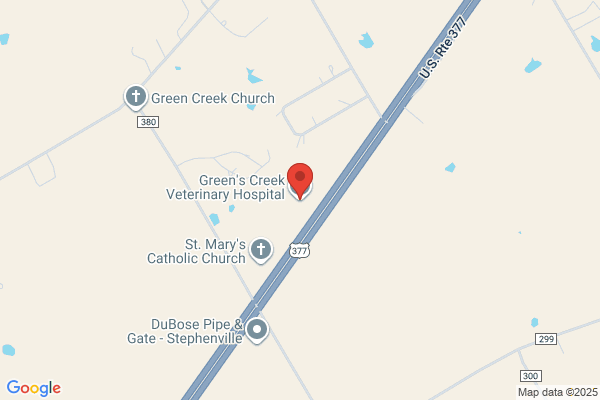 Green's Creek Veterinary Hospital, A Thrive Pet Healthcare Partner