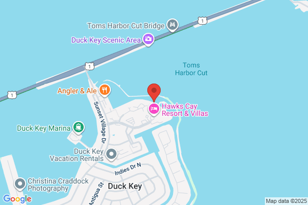 Dolphin Connection