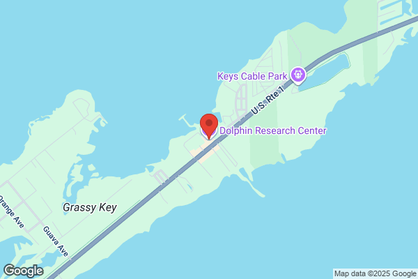 Dolphin Research Center