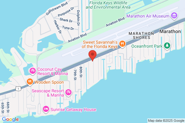 Island Auto Repair