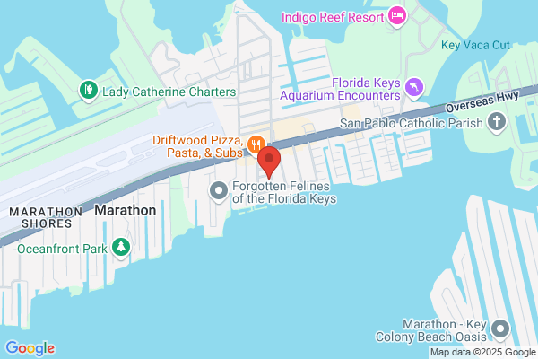 Ocean Isles Fishing Village