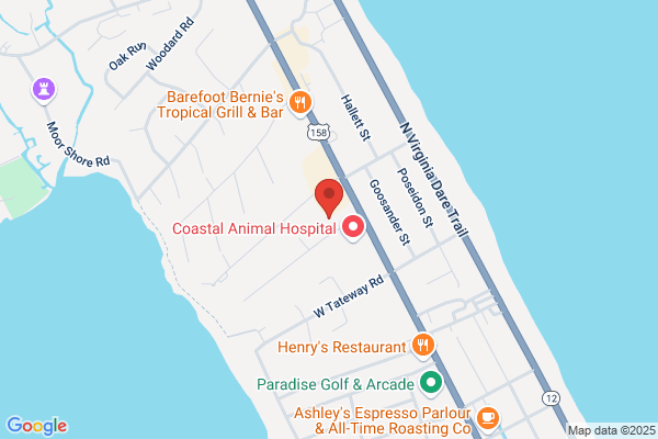 Titlequest Obx