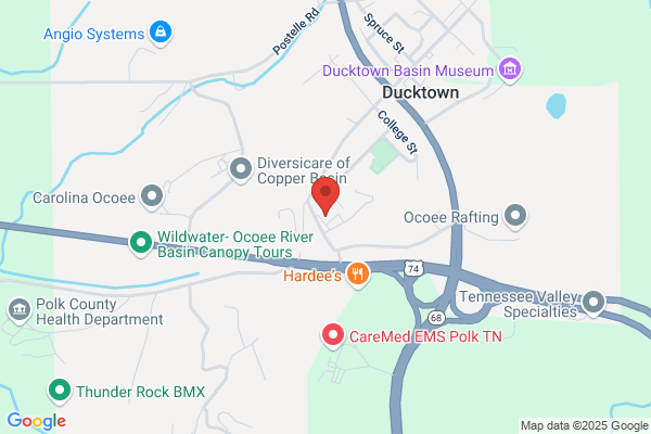 Ducktown Public Library