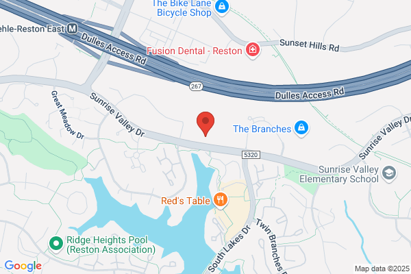 Reston Technology Group Inc