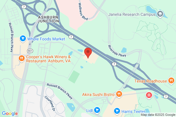 Sedgewick Jeffrey MD