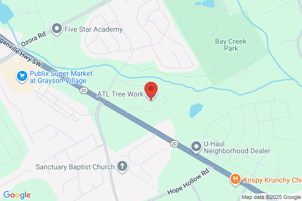 ATL Tree Work
