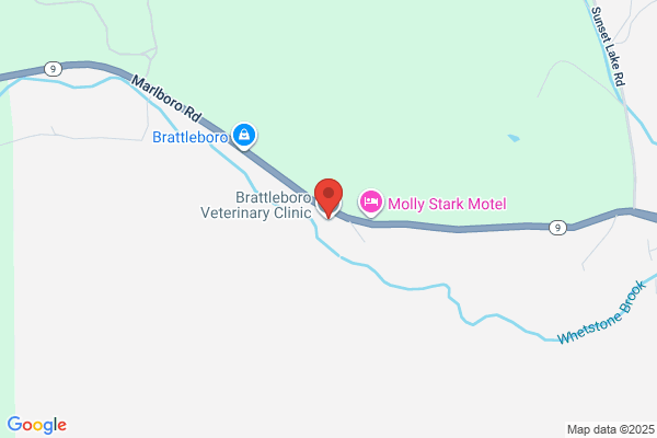 Brattleboro Veterinary Clinic