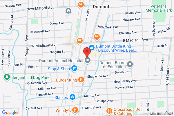 Dumont Bagel Express