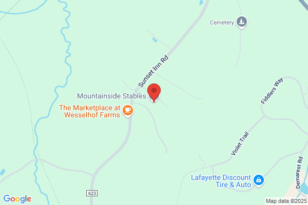 Mountainside Stables & Pony Express Inc