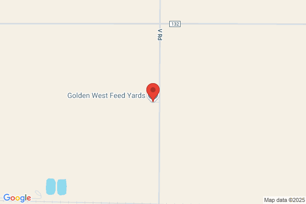 Golden West Feed Yards Inc