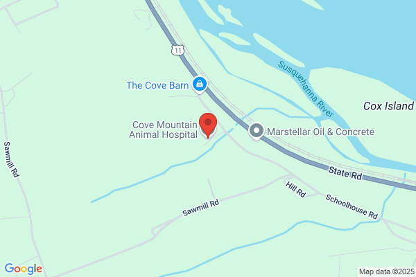 Cove Mountain Animal Hospital