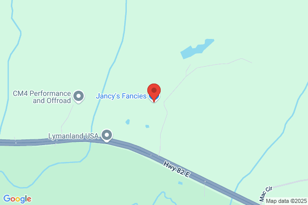 Jancy's Fancies