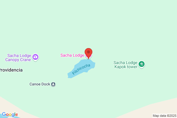 Sacha Lodge