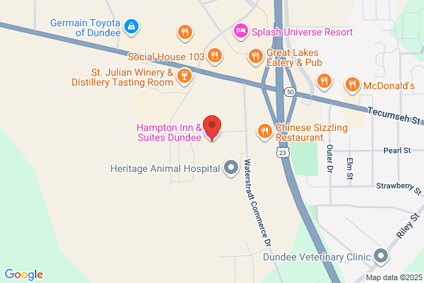 Hampton Inn & Suites Dundee