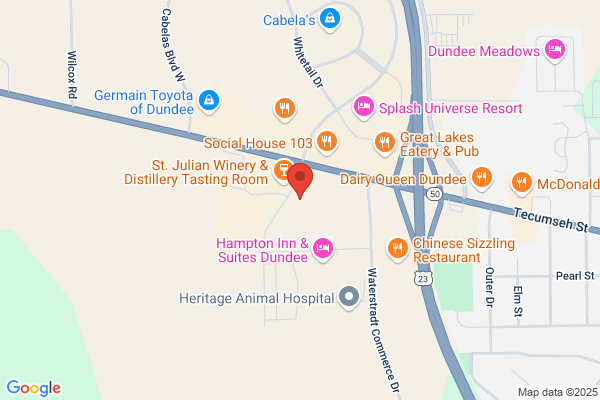 Dundee Internet Service