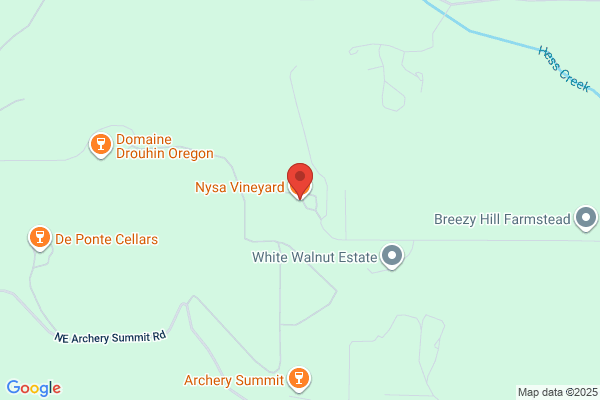 Nysa Vineyard