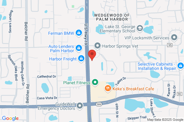 Harp Pediatric Dentistry - Palm Harbor