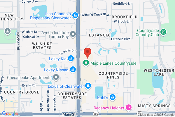 Countryside Palm Harbor Chiropractic