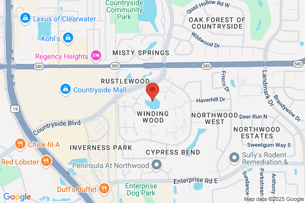 Briggs Wealth Management of Raymond James