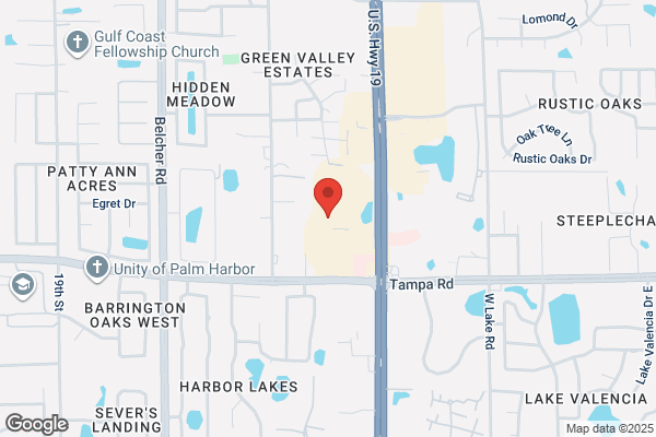 The Cleaning Authority - Palm Harbor
