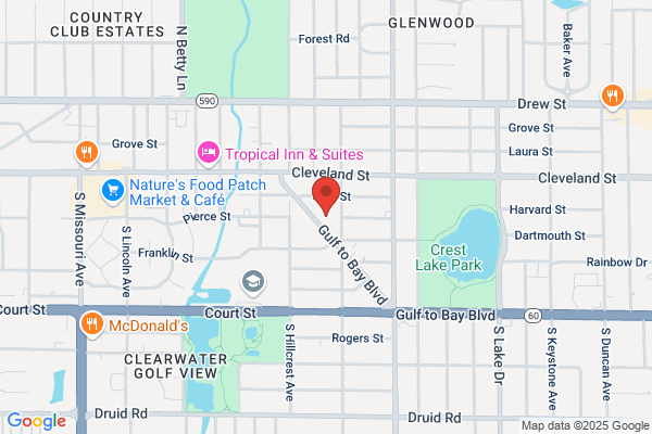 Pest Control Clearwater Florida