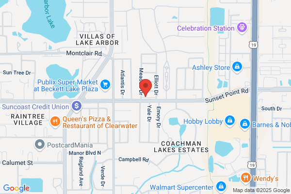 Foot & Ankle Physicians, P.A.