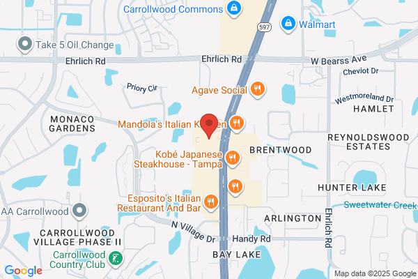 Bay Area Properties Inc