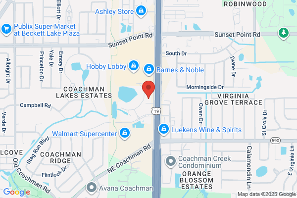 Suncoast Disc Golf