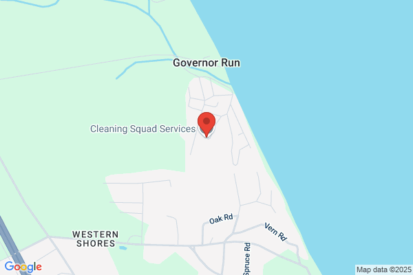 Cleaning Squad Services