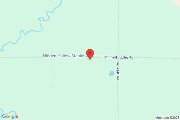 Hidden Hollow Stables