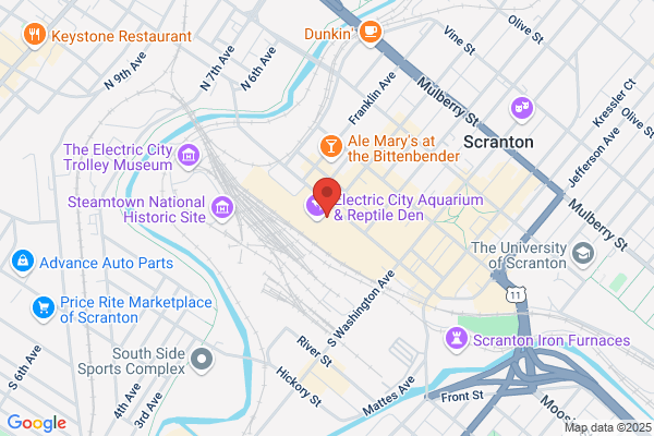Bavarian Pretzels