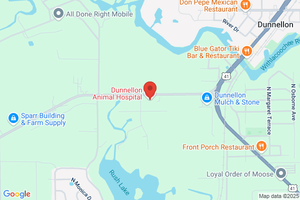 Taylor Morgan - Dunnellon Animal Hospital