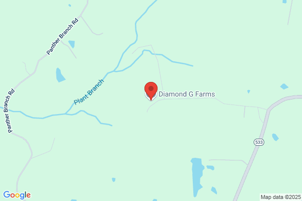 Diamond G Farms