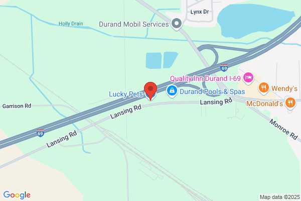 Luckys