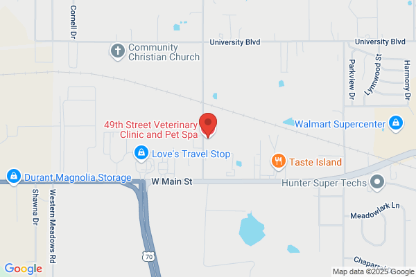 49th Street Veterinary Clinic and Pet Spa