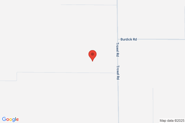 Bordin Bees
