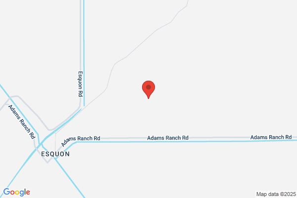 Rancho Esquon Inc