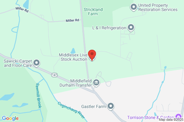 Middlesex Live Stock Auction