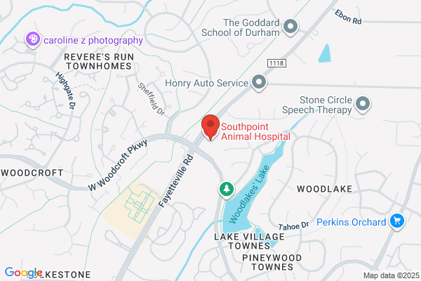 Southpoint Animal Hospital